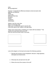 cell_assignment