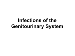 Infections of the Genitourinary System