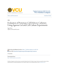 Evaluation of Prototype Cell Delivery Catheters Using Agarose Gel