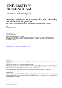 University of Birmingham Leptomycin B induces apoptosis in cells