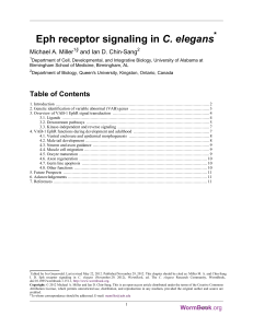 Eph receptor signaling in C. elegans
