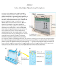 SDS-PAGE Sodium Dodecyl Sulfate