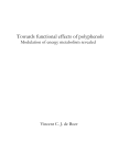 Towards functional effects of polyphenols : modulation of energy