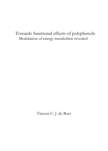 Towards functional effects of polyphenols : modulation of energy