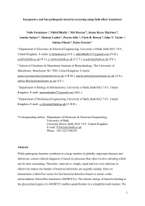 Inexpensive and fast pathogenic bacteria screening using field