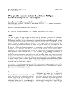 Developmental expression patterns of Arabidopsis