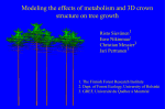 LIGNUM: Towards Forest Scientist`s Workbench