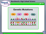 Genetic Mutations