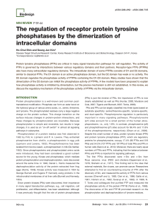 The regulation of receptor protein tyrosine