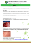 Generalised rash of measles Measles is a very contagious (easily