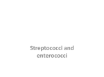 Oral streptococci