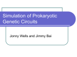 Simulation of Prokaryotic Genetic Circuits
