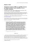 Mutational Analysis of BRCA1 and BRCA2 Genes in Chinese