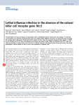 Lethal influenza infection in the absence of the natural killer cell