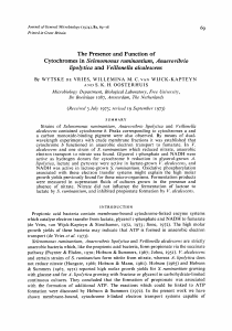 The Presence and Function of Cytochromes in