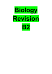 B2 revision notes