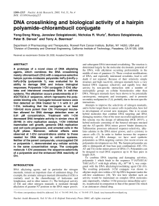 DNA crosslinking and biological activity of a