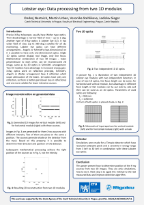 Lobster eye: Data processing from two 1D modules