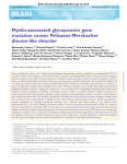 Myelin-associated glycoprotein gene mutation causes Pelizaeus