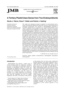A Tertiary Plastid Uses Genes from Two Endosymbionts