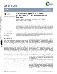 A microfluidics approach to study the accumulation of molecules at