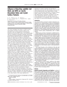 Influence of Bacillus subtilis Cell Walls and EDTA on Calcite