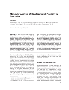 Molecular Analysis of Developmental Plasticity in Neocortex