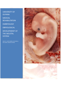 INTRODUCTION TO : The Embryology of the Skeletal System