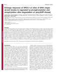 Damage response of XRCC1 at sites of DNA single strand breaks is