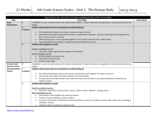 6th Grade Science Scales * Unit 1: The Human Body