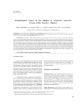 Morphological Aspect of the Midgut of Anopheles aquasalis