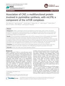 Association of CAD, a multifunctional protein involved in pyrimidine