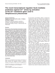 The novel transcriptional regulator SczA mediates