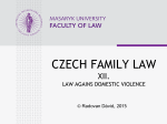 Protection against Domestic Violence in the Czech Republic