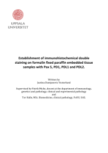 Establishment of immunohistochemical double staining