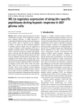 IRE-1α regulates expression of ubiquitin specific peptidases during