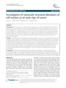 Investigation of nanoscale structural alterations of cell nucleus as an