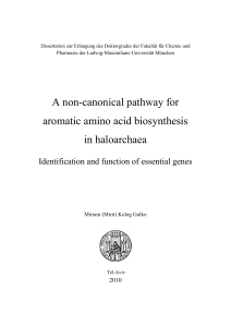A non-canonical pathway for aromatic amino acid biosynthesis in