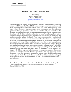 Watching Class II MHC molecules move Hidde L. Ploegh