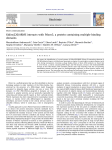 Kidins220/ARMS interacts with Pdzrn3, a protein