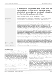 A siderophore biosynthesis gene cluster from the fish