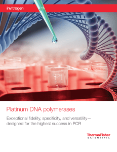 Platinum DNA polymerases