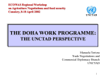 Doha Work Programme
