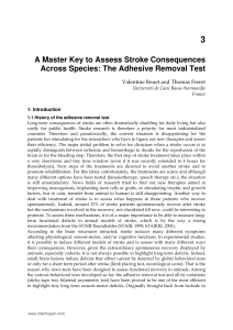 A Master Key to Assess Stroke Consequences Across Species: The