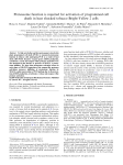 Proteasome function is required for activation of programmed cell