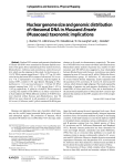 Nuclear genome size and genomic distribution of ribosomal DNA in