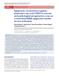 Epigenetic mechanisms regulate placental c-myc