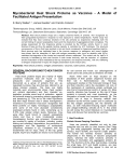 Mycobacterial Heat Shock Proteins as Vaccines - A Model