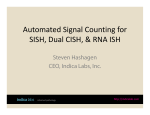 Automated Signal Counting for SISH, Dual CISH
