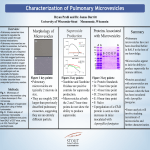 Bryan 2012 Research Day Poster